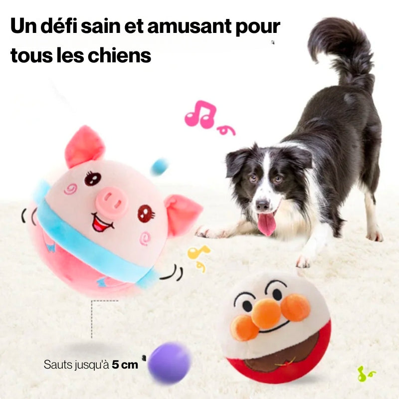 BeauToy | Le jouet qui bouge pour les chiens